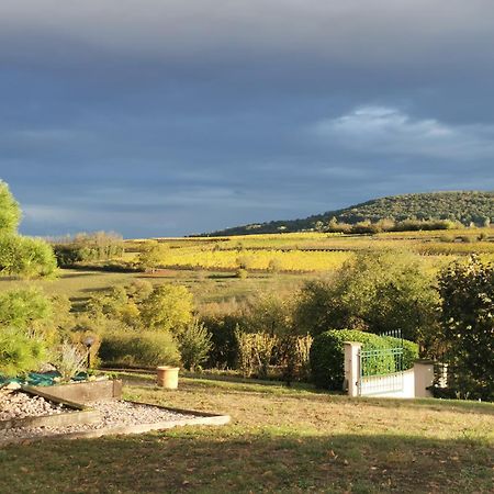 Studio Spacieux, Route Des Vins Rosheim Extérieur photo