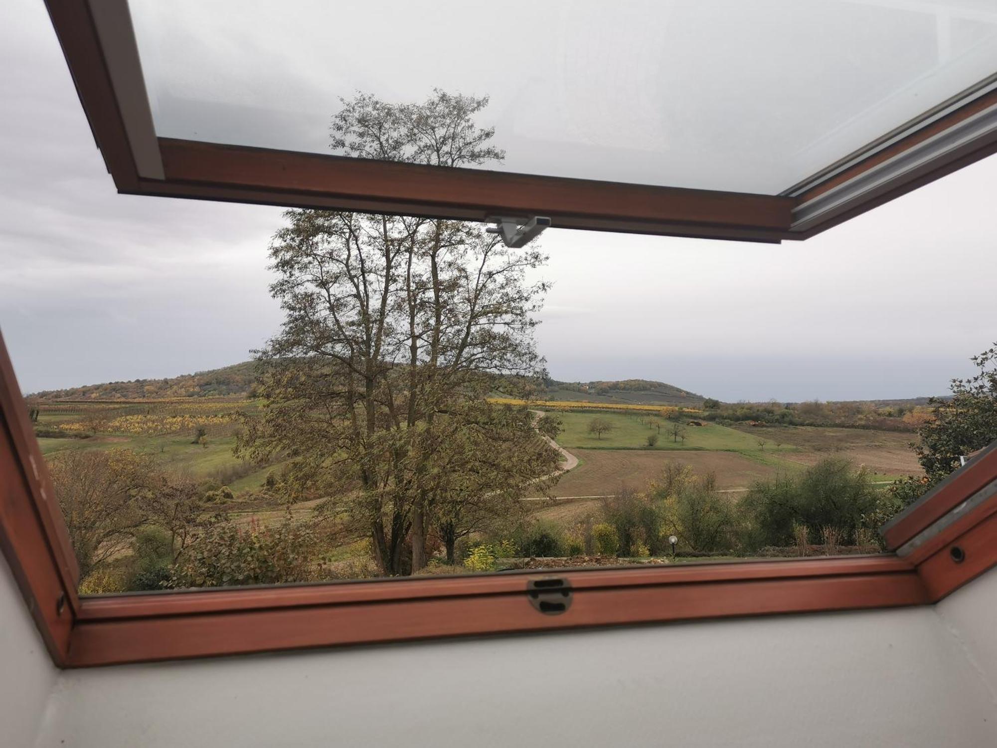 Studio Spacieux, Route Des Vins Rosheim Extérieur photo