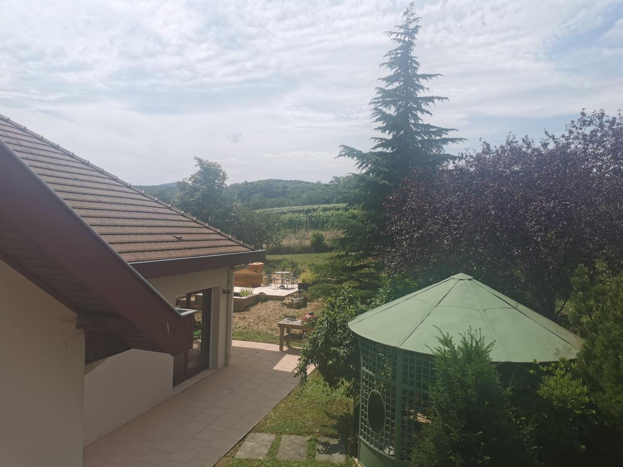 Studio Spacieux, Route Des Vins Rosheim Extérieur photo